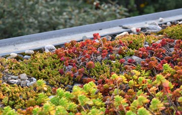 the cost of Brough green roof installation