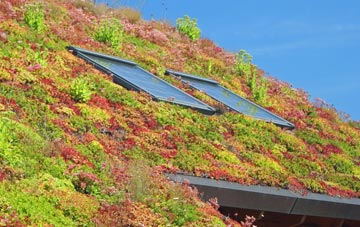 Brough living roof systems