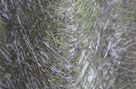 Brough fibreglass roof work